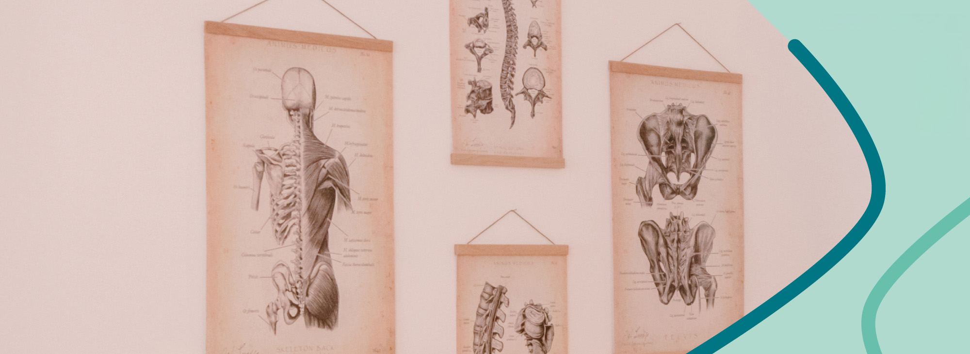 06 Downloads Desiree Lievertz
